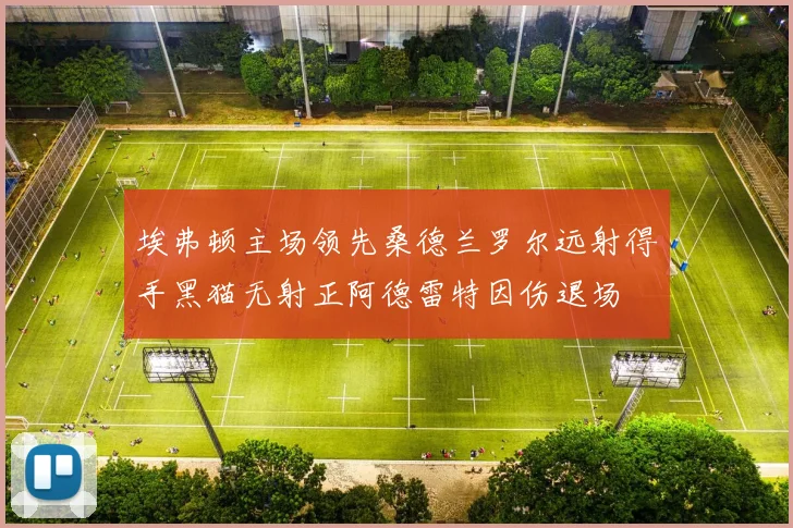 埃弗顿主场领先桑德兰罗尔远射得手黑猫无射正阿德雷特因伤退场